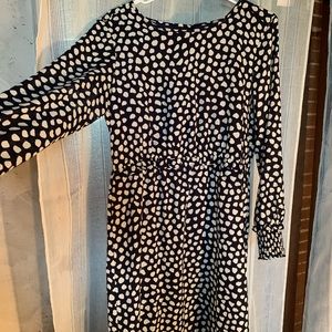 JCrew Spotted Dress
